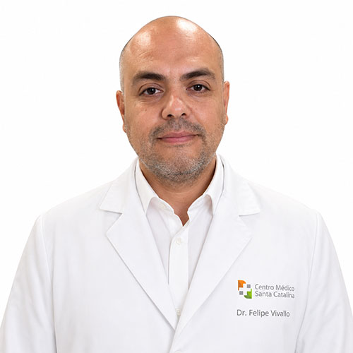 Felipe Vivallo